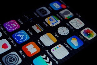 本文将详细介绍如何找到最优质的微信小程序企业商家解决方案。无论你是刚刚起步的小型企业还是正在寻求提升的大型企业，了解如何利用微信小程序优化你的业务将是一个巨大的帮助。我们将深入探讨相关平台和服务，帮助你做出明智的选择。