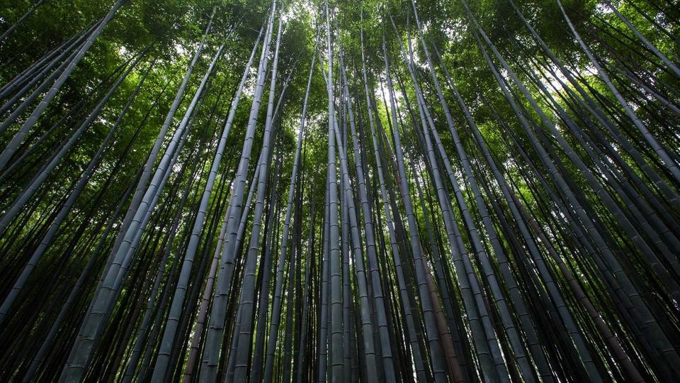 电商购物类小程序功能界面示意